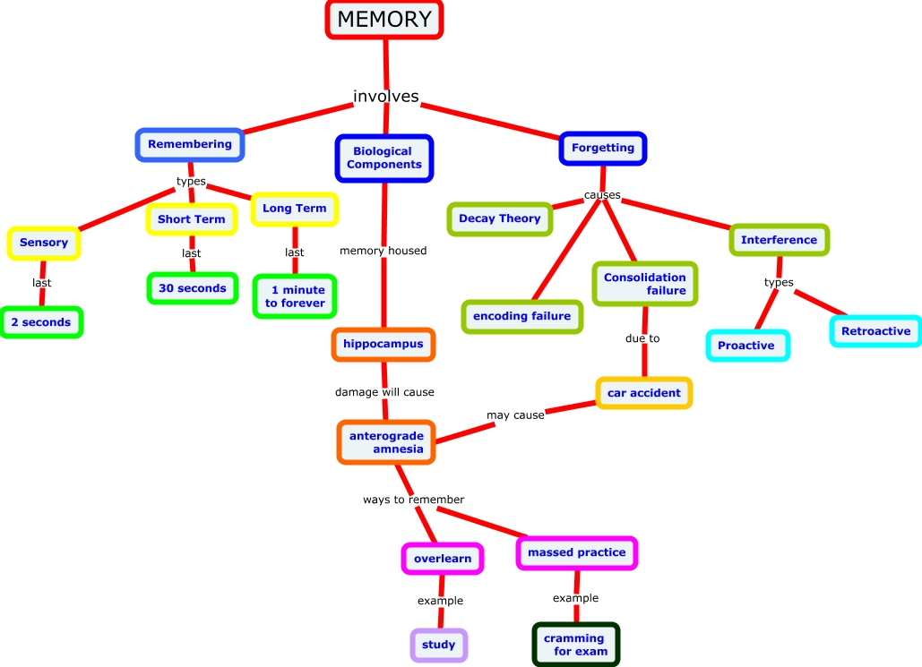 types-of-remembering-classification-of-memory-2019-01-21